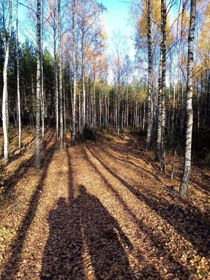 Siedlisko Czarny Dzieciol Narewka Exterior foto